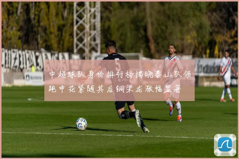 中超球队身价排行榜揭晓泰山队领跑申花紧随其后铜梁龙涨幅显著