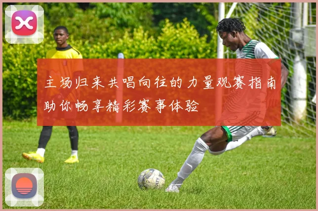 主场归来共唱向往的力量观赛指南助你畅享精彩赛事体验